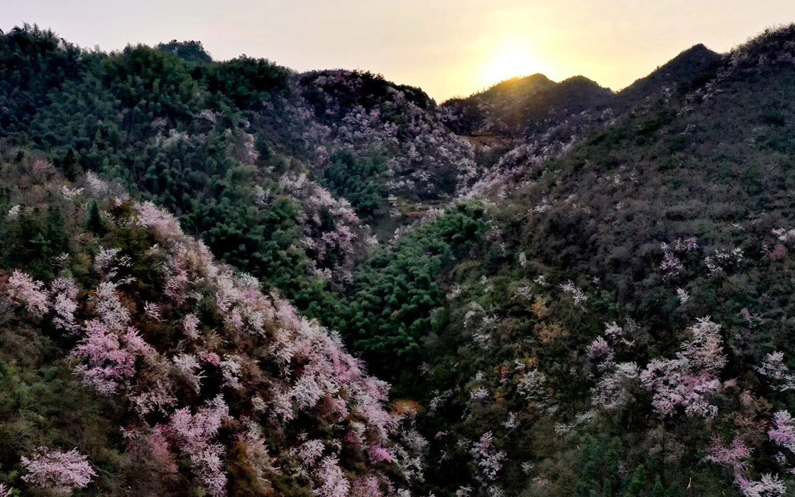 Pokerking官网-不凡成绩非凡,相信品牌的实力