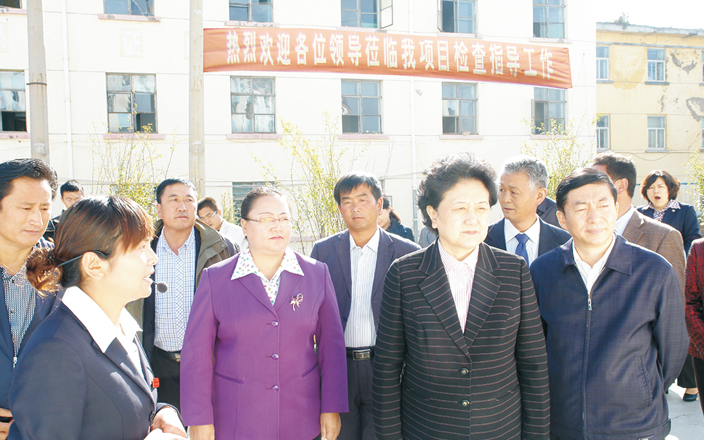 时任中央政治局委员，，国务院副总理、、、党组成员刘延东视察湖北Pokerking集团青海项目部