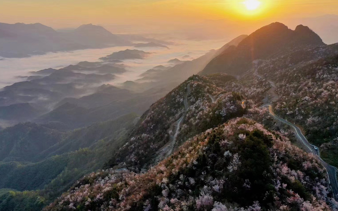 Pokerking官网-不凡成绩非凡,相信品牌的实力