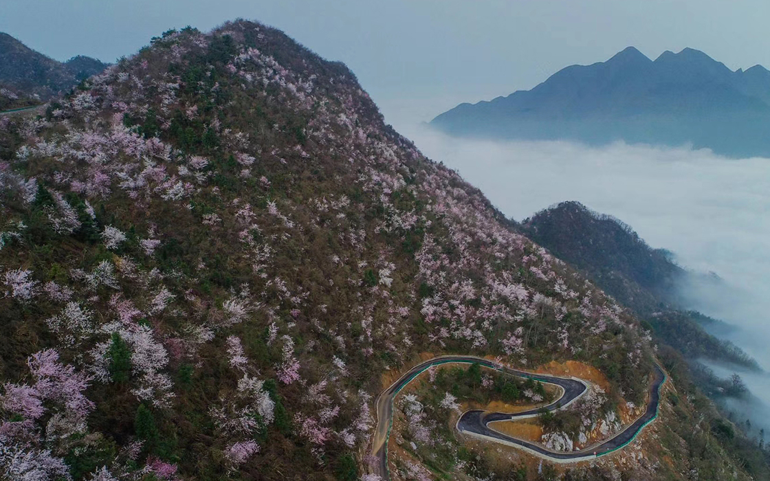 Pokerking官网-不凡成绩非凡,相信品牌的实力