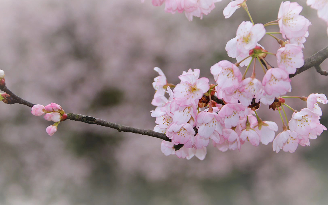 Pokerking官网-不凡成绩非凡,相信品牌的实力