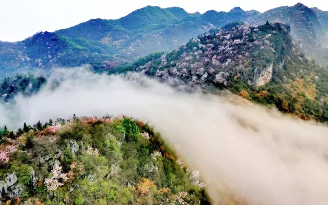 Pokerking官网-不凡成绩非凡,相信品牌的实力