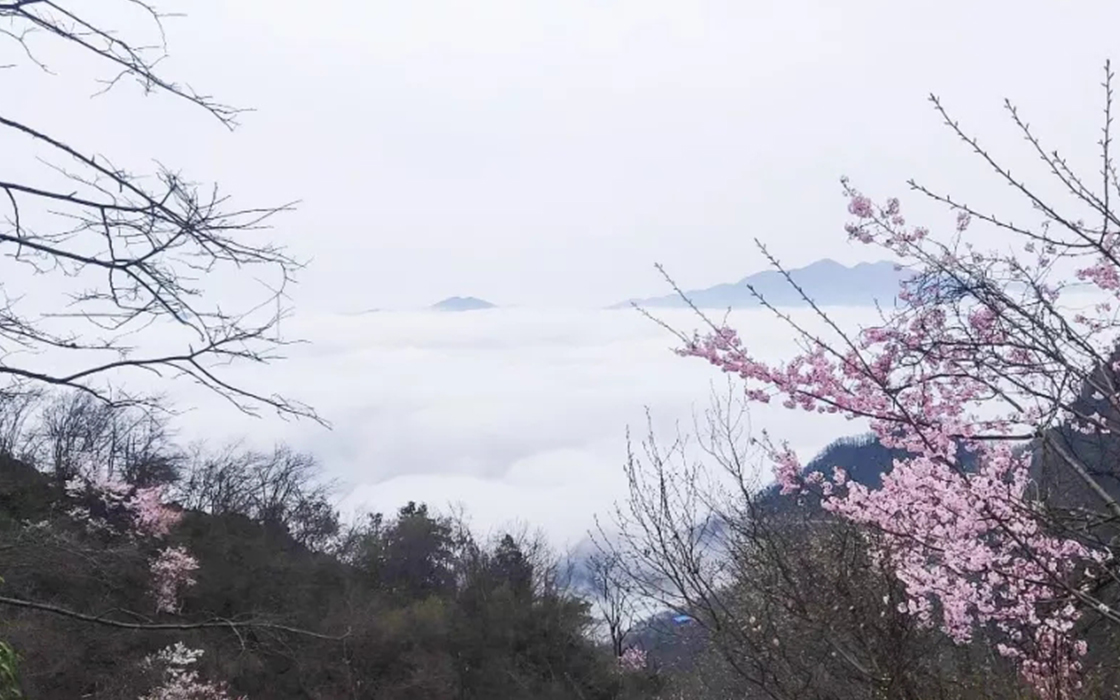 Pokerking官网-不凡成绩非凡,相信品牌的实力