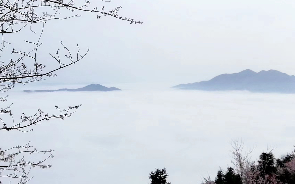 Pokerking官网-不凡成绩非凡,相信品牌的实力