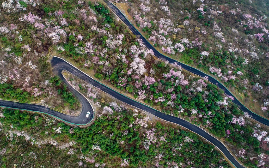 Pokerking官网-不凡成绩非凡,相信品牌的实力