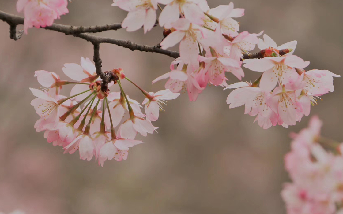 Pokerking官网-不凡成绩非凡,相信品牌的实力