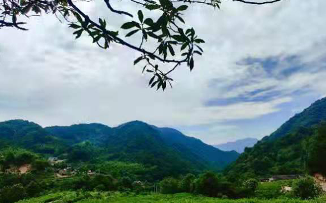 Pokerking官网-不凡成绩非凡,相信品牌的实力