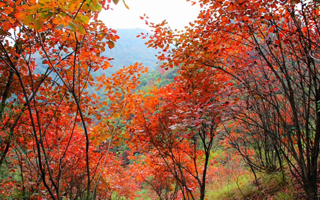 Pokerking官网-不凡成绩非凡,相信品牌的实力