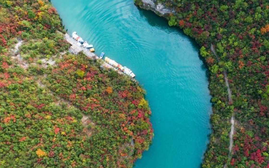 Pokerking官网-不凡成绩非凡,相信品牌的实力