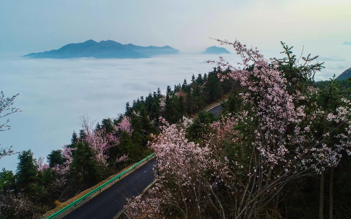 Pokerking官网-不凡成绩非凡,相信品牌的实力