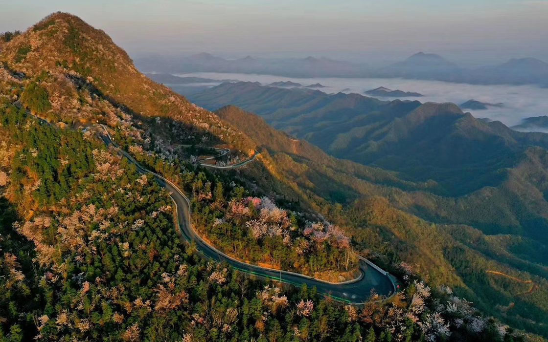 Pokerking官网-不凡成绩非凡,相信品牌的实力