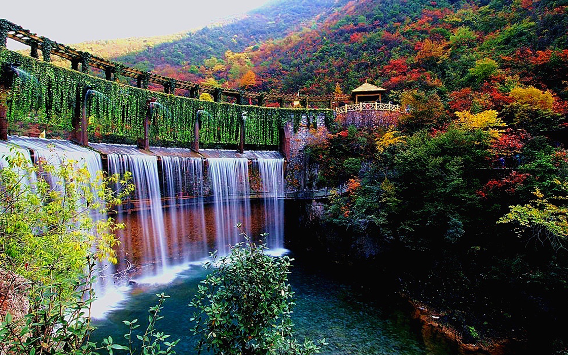 Pokerking官网-不凡成绩非凡,相信品牌的实力